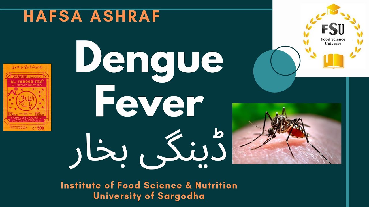 Dengue fever Crack + Virus Outbreak in Children {Latest} 2022